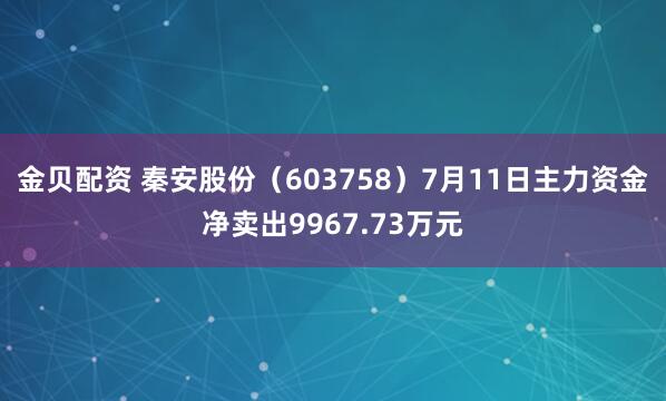 金贝配资 秦安股份（603758）7月11日主力资金净卖出9967.73万元