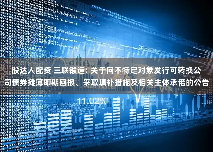 股达人配资 三联锻造: 关于向不特定对象发行可转换公司债券摊薄即期回报、采取填补措施及相关主体承诺的公告