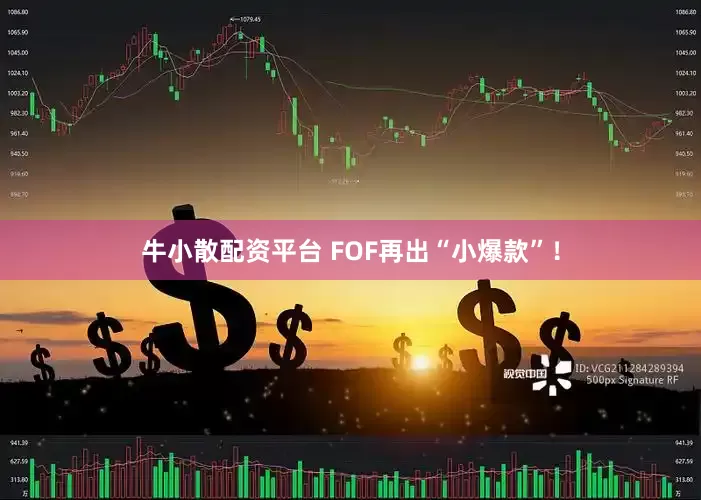 牛小散配资平台 FOF再出“小爆款”！